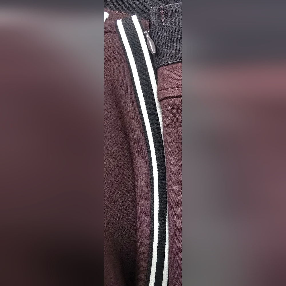 GAP Womens Burgandy Brown Stretch Leggings w Pin Striped & Zip On Side (SIZE:M) - Picture 5 of 7